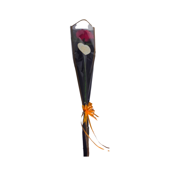 Single Rose - Image 2